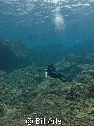 Dive leader, Shannon.  Kohala Divers. Big Island, Hawaii. by Bill Arle 